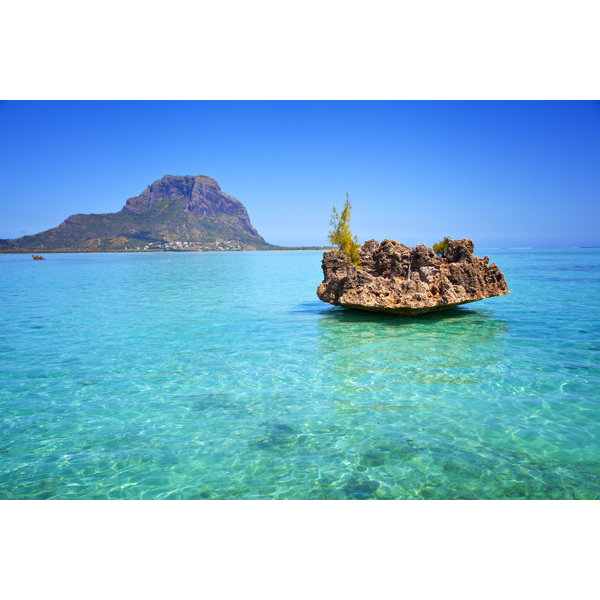 Highland Dunes Mauritius by Wrapped Canvas Photograph Wayfair